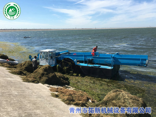 销往广东水葫芦打捞船