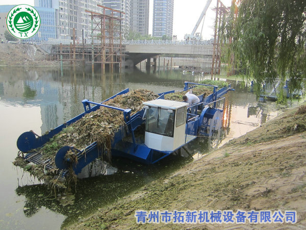 出口印度尼西亚割草船【工作视频】